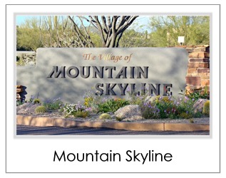 Mountain Skyline Homes For Sale in Desert Mountain Scottsdale AZ